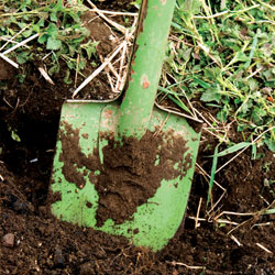 Problems With Your Compost Pile? Fix Them!