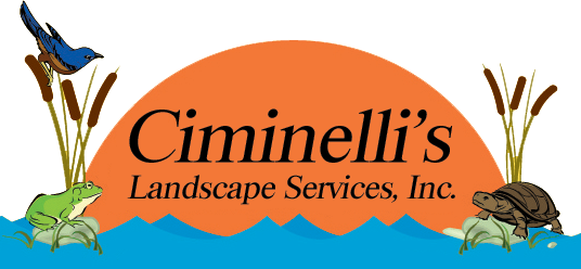 Ciminelli's Landscape Services, Inc