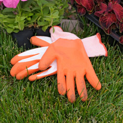 Glorifying Garden Gloves