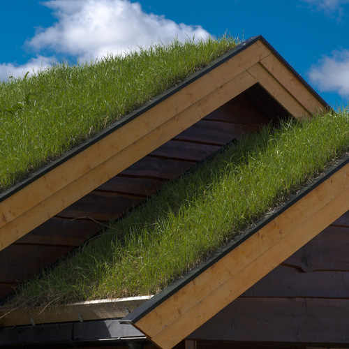 Green Roofs and Walls